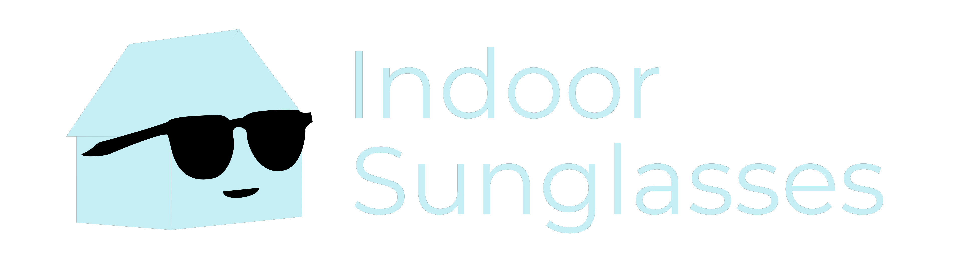 Indoor Sunglasses